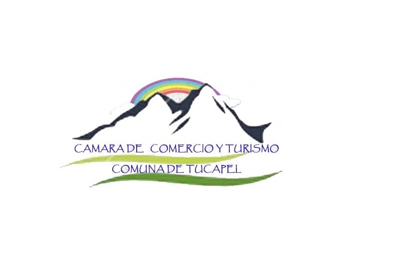 Logo-Asociacion-gremial-CCST-Tucapel