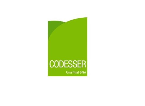 codesser_logo