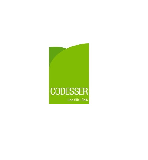 codesser_logo