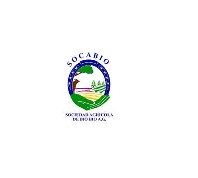 logo (4)