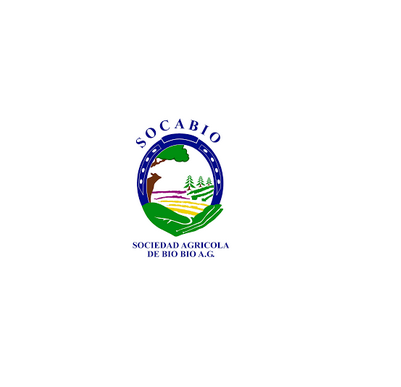 logo (4)